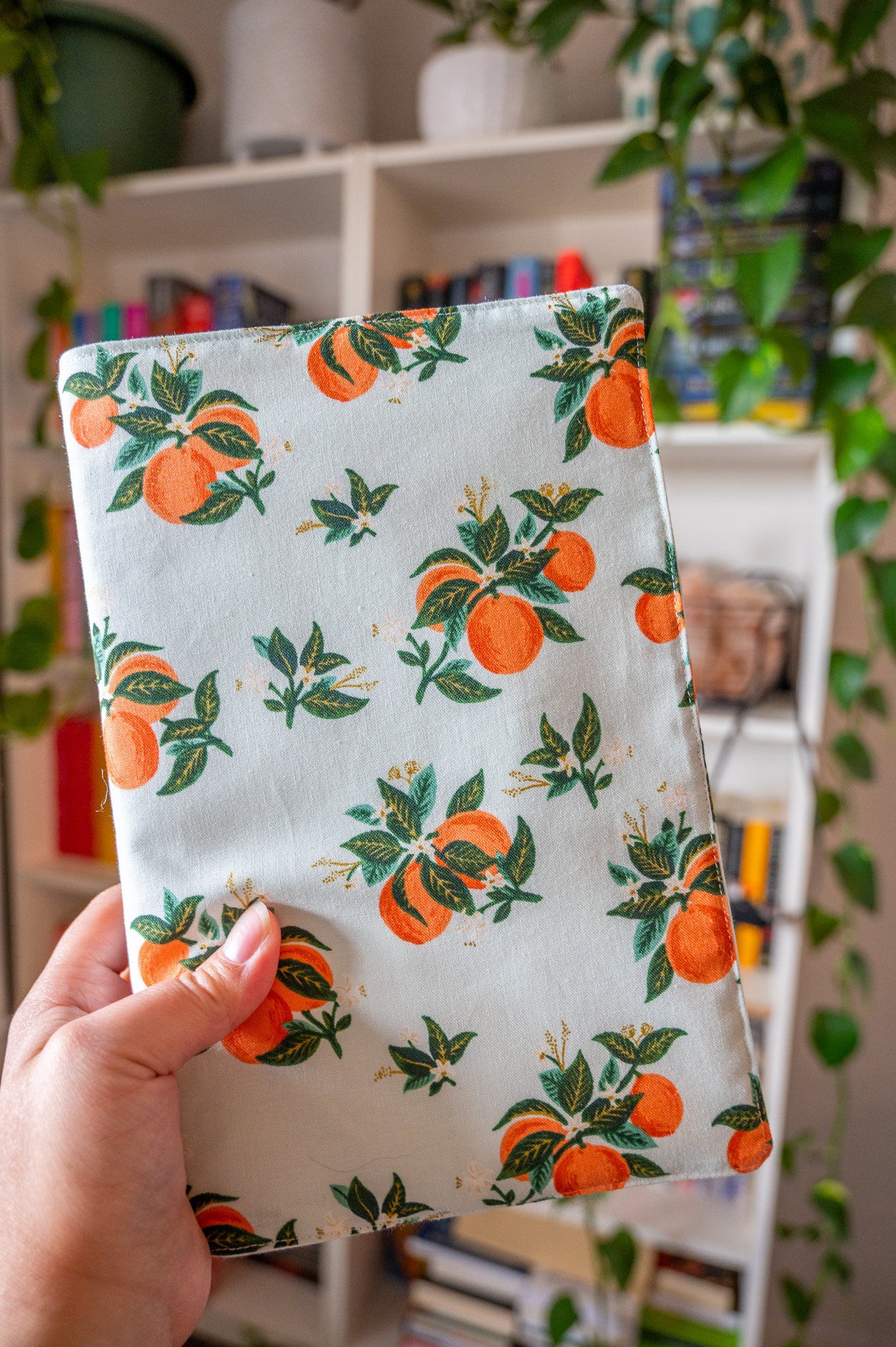 Mint and Oranges Book Cover