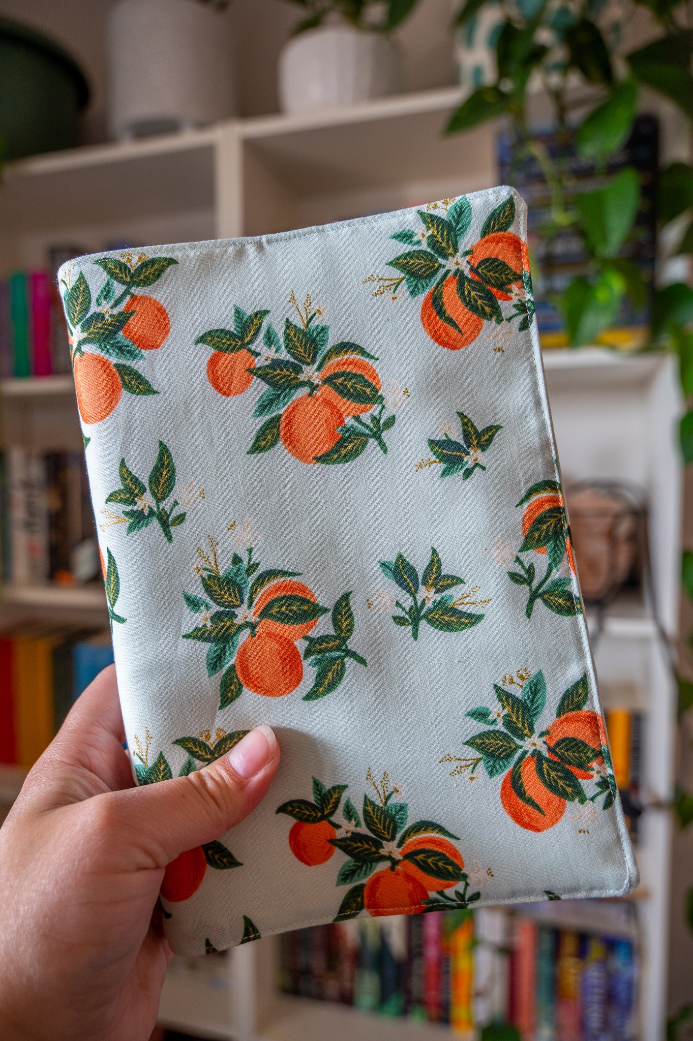 Mint and Oranges Book Cover